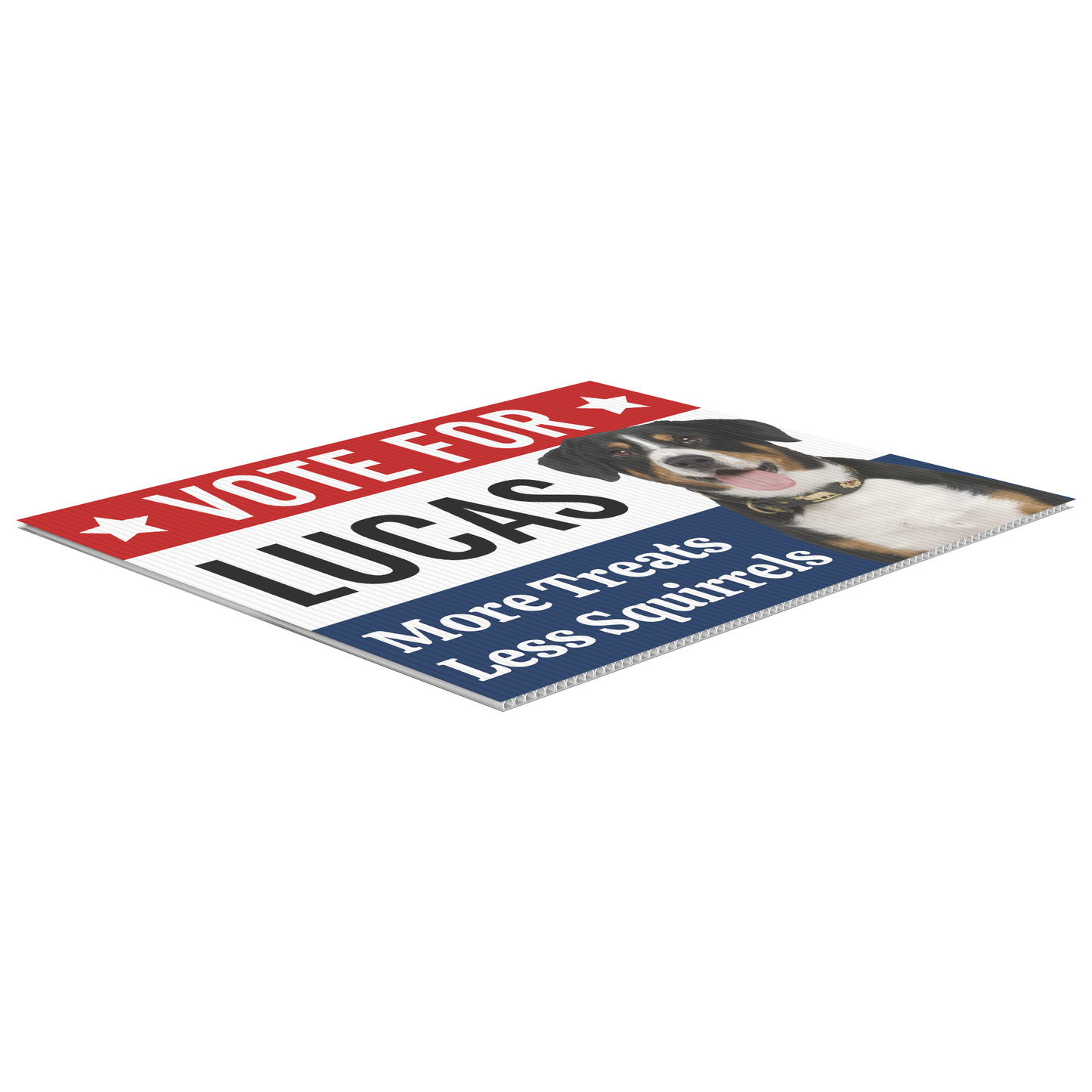 CUSTOMIZED "Vote for My Pet" | Funny Yard Sign