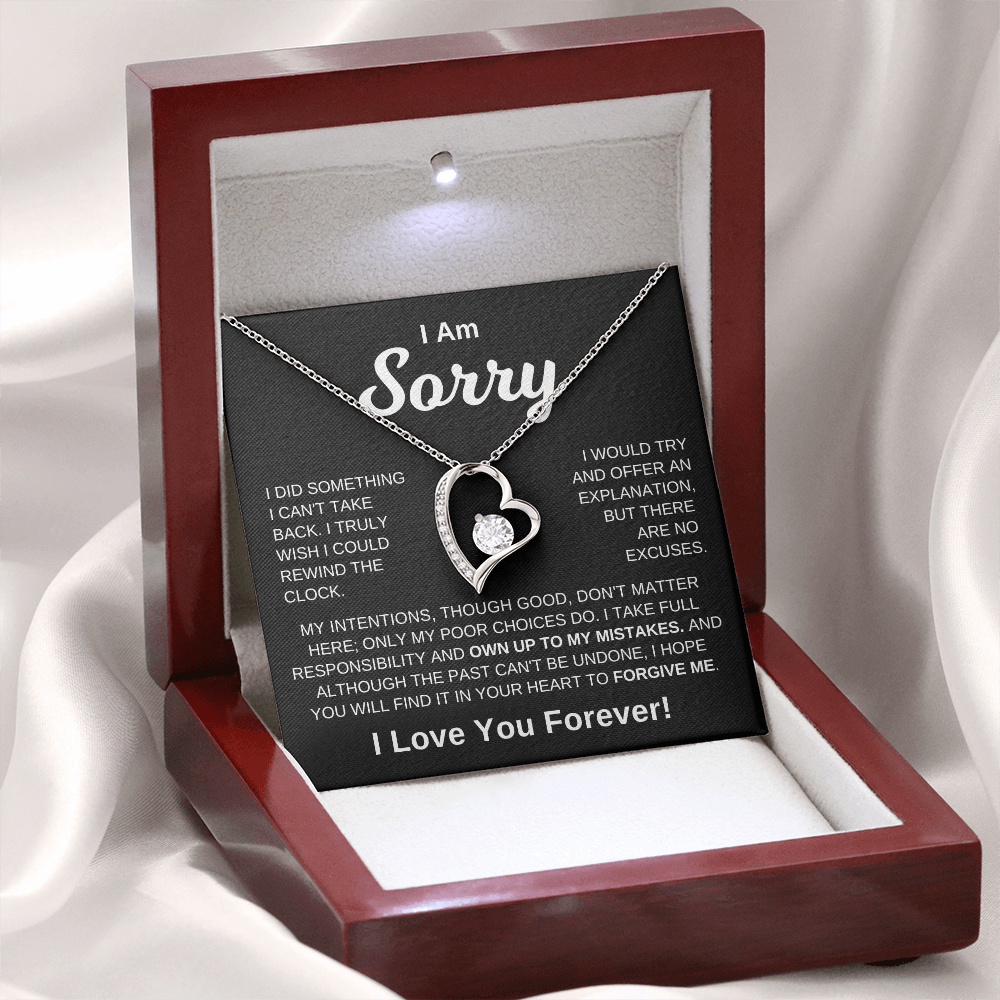 I'm Sorry - No Excuses | Necklace
