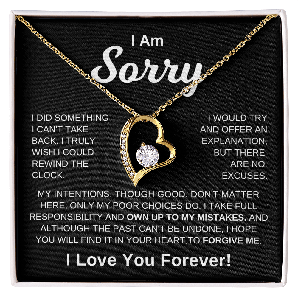I'm Sorry - No Excuses | Necklace