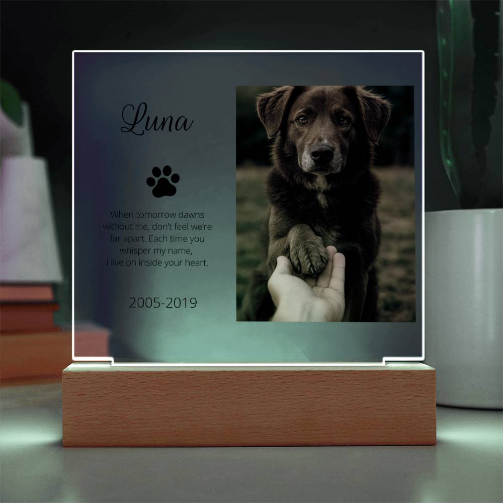 Personalized Pet Memorial Acrylic Plaque with Photo – Custom Dog or Cat Tribute Gift