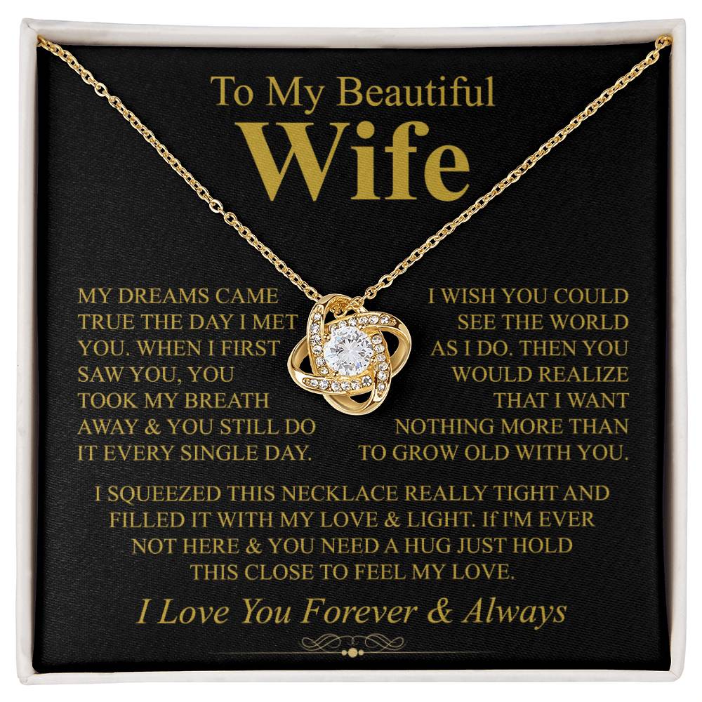 To My Wife | My Dreams Came True
