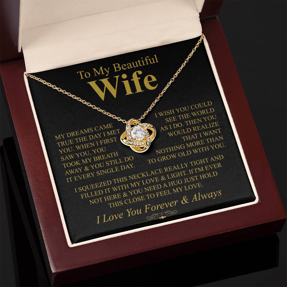 To My Wife | My Dreams Came True