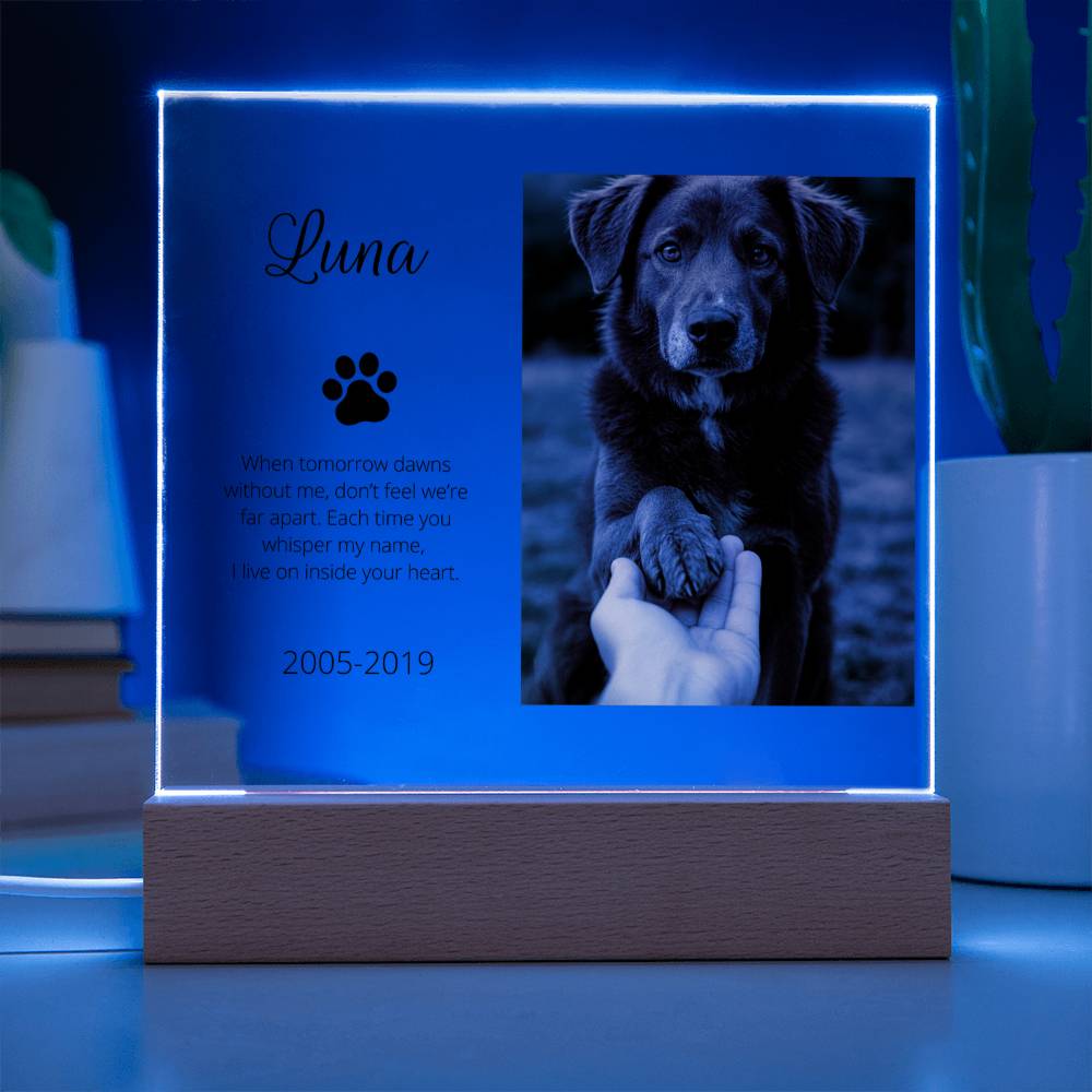 Personalized Pet Memorial Acrylic Plaque with Photo – Custom Dog or Cat Tribute Gift
