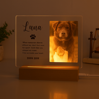 Personalized Pet Memorial Acrylic Plaque with Photo – Custom Dog or Cat Tribute Gift