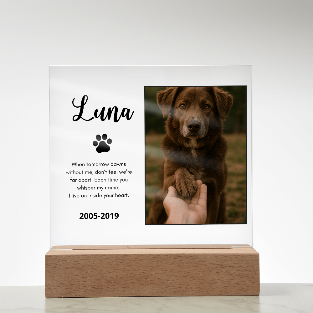 Personalized Pet Memorial Acrylic Plaque with Photo – Custom Dog or Cat Tribute Gift