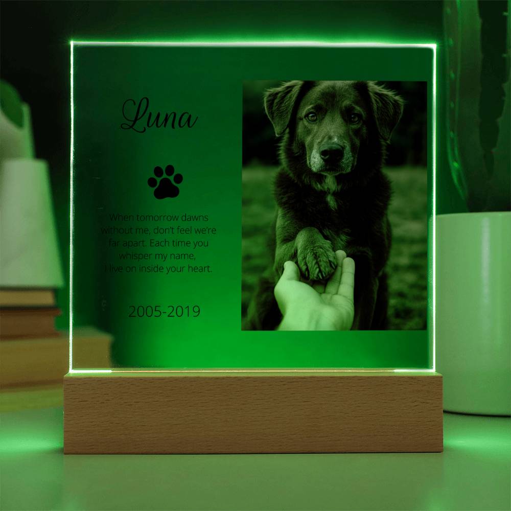 Personalized Pet Memorial Acrylic Plaque with Photo – Custom Dog or Cat Tribute Gift