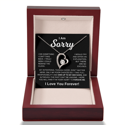 I'm Sorry -  No Excuses | Necklace