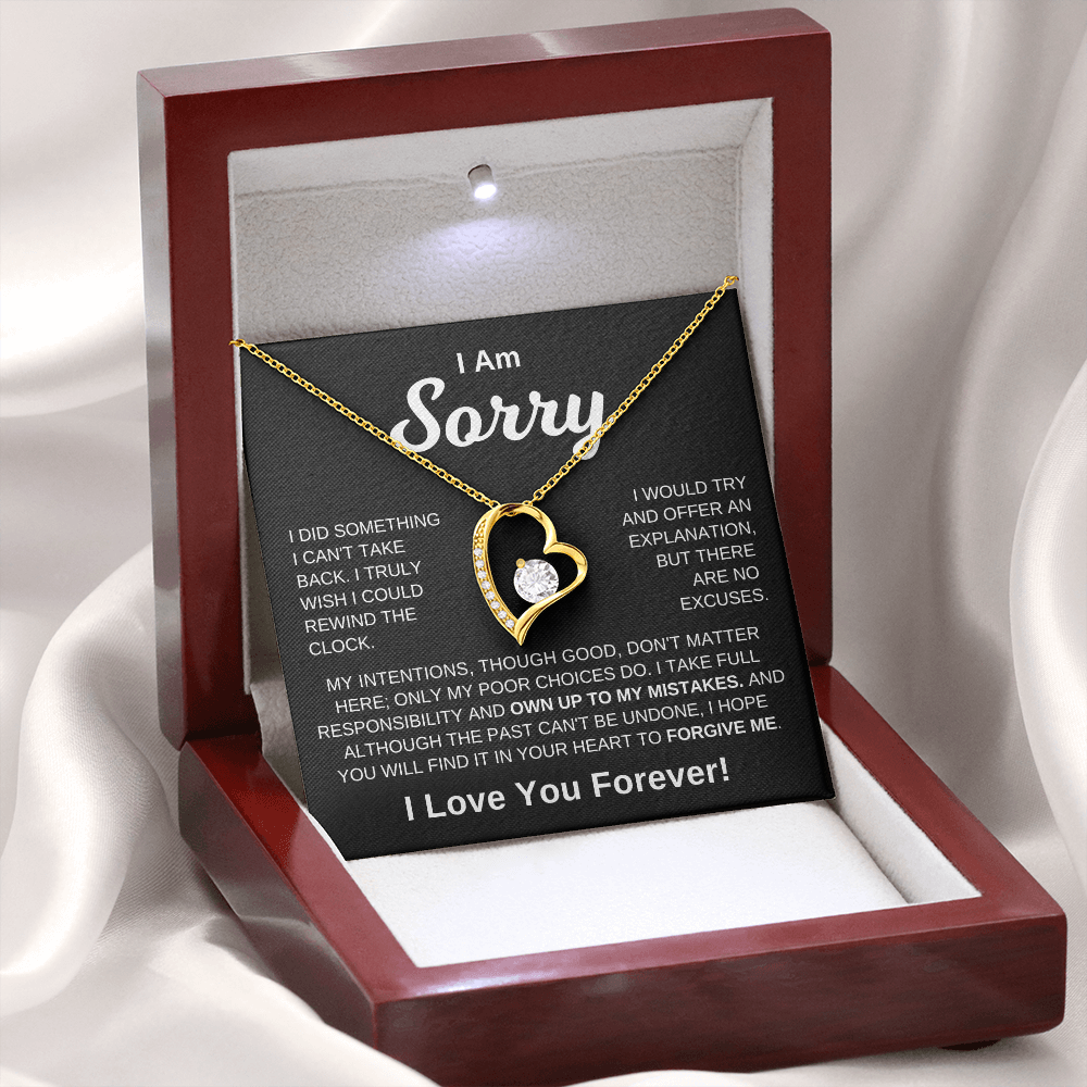 I'm Sorry -  No Excuses | Necklace