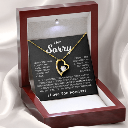 I'm Sorry -  No Excuses | Necklace