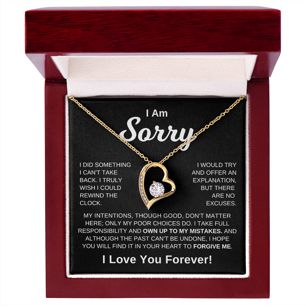 I'm Sorry -  No Excuses | Necklace