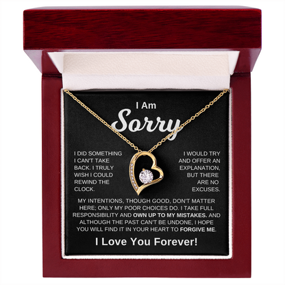 I'm Sorry -  No Excuses | Necklace