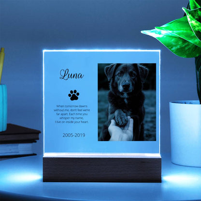 Personalized Pet Memorial Acrylic Plaque with Photo – Custom Dog or Cat Tribute Gift