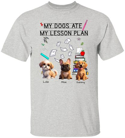 Gildan unisex teacher shirt – personalized funny educator gif